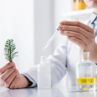 Cosmetic Ingredients Cosmetic Ingredients