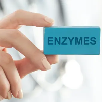 Enzymes Enzymes